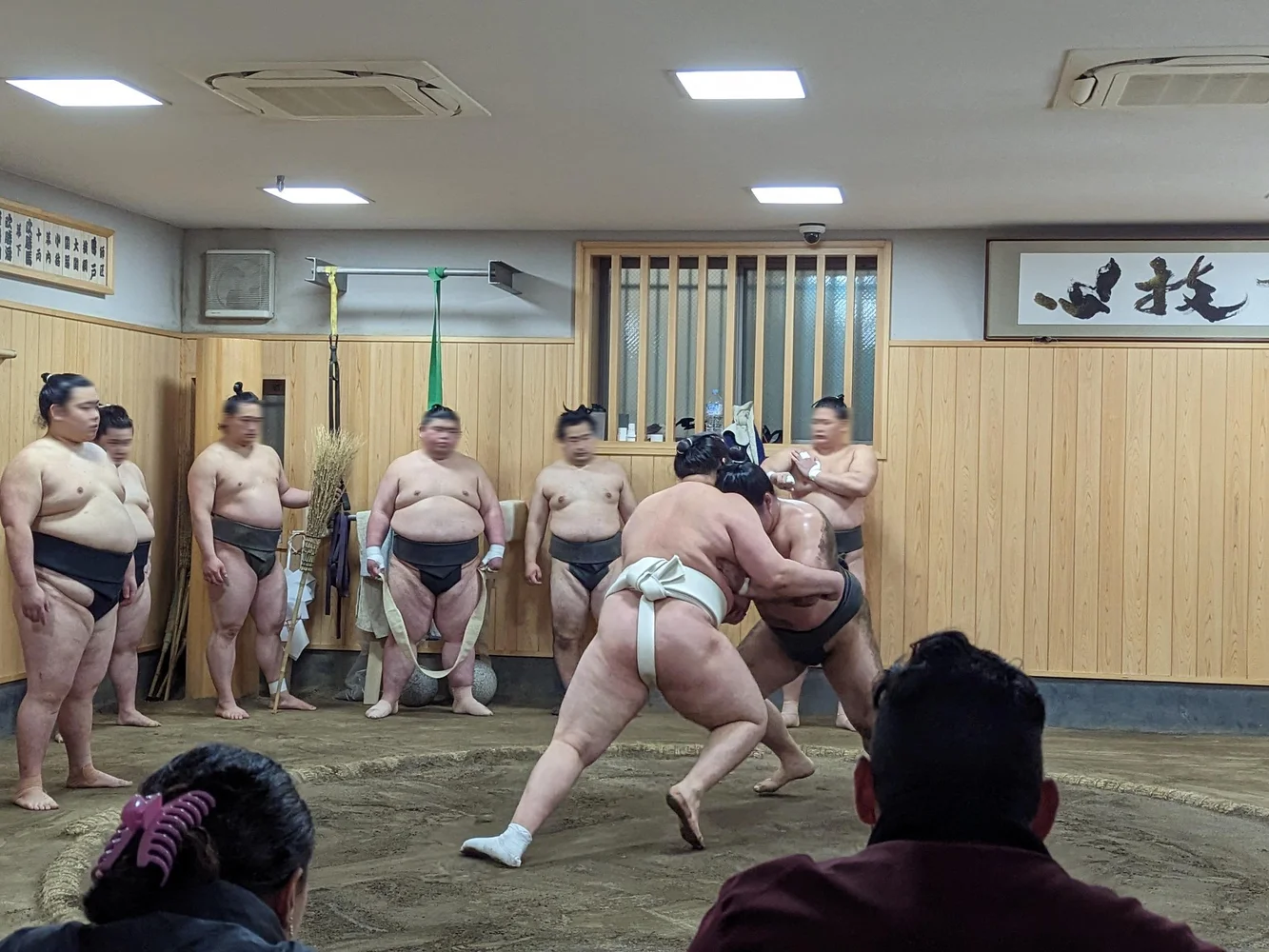 Book a Morning Sumo Practice Viewing Tour in Tokyo