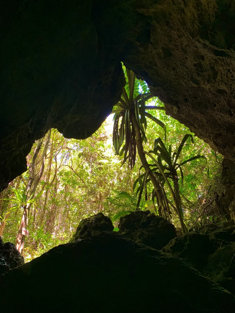 グアム パガットケーブ＋洞窟トレッキングツアー 予約＜ジャングル・洞窟探検＞