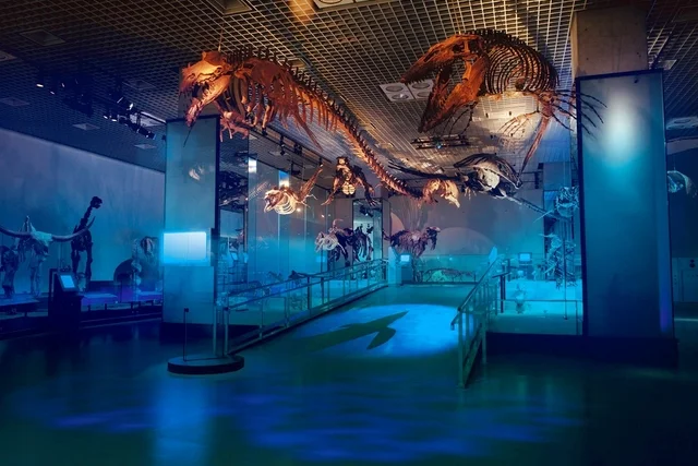 Tokyo National Museum of Nature & Science E-Tickets