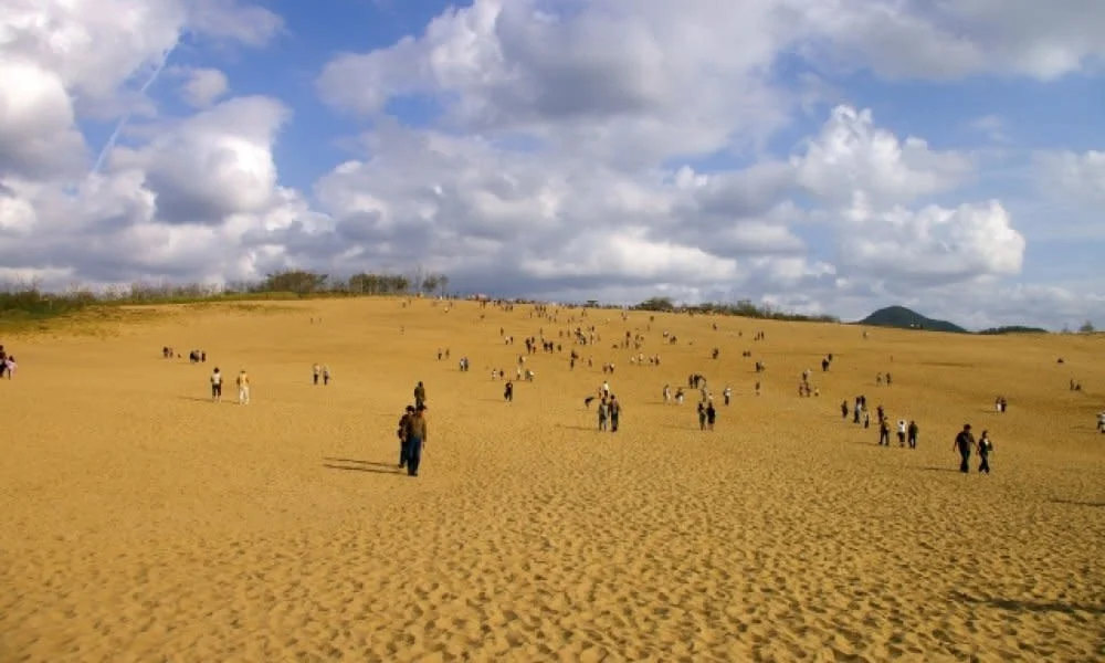 Tottori Sand Dunes, Sand Museum and Uradome Coast Tour