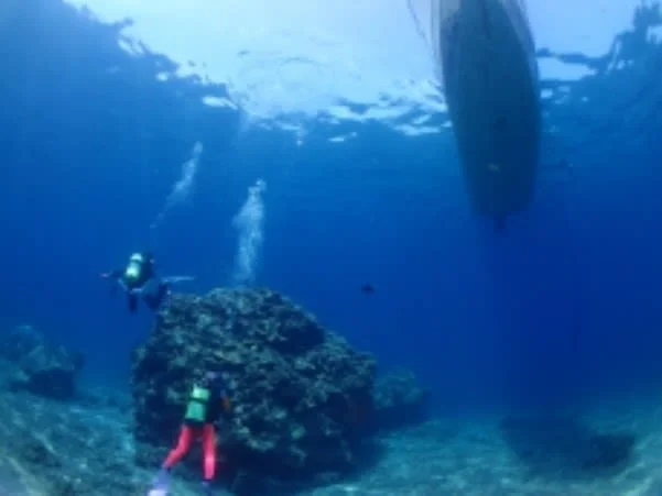 Ishigaki Diving — Half-Day Manta Ray Experience