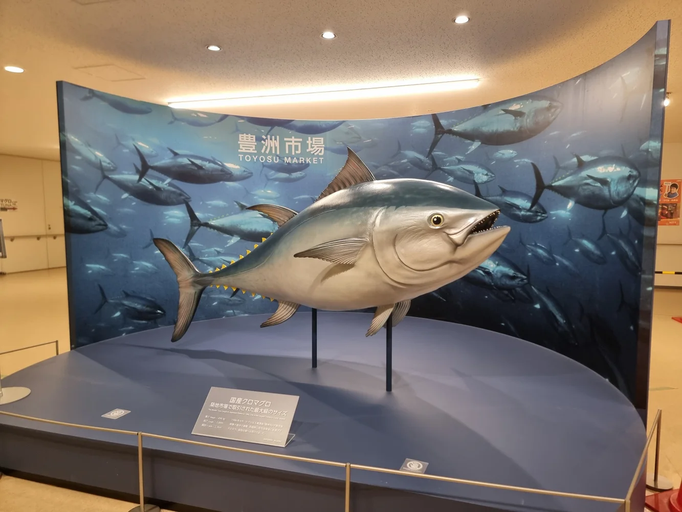 Toyosu Fish Market Tuna Auction Tour with Unlimited Seafood Buffet!