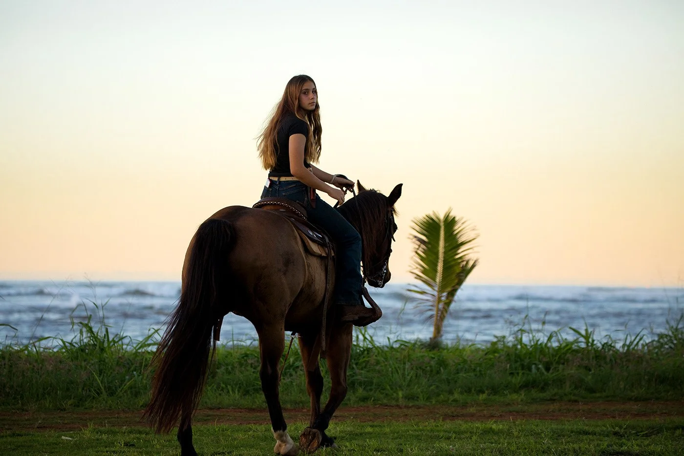 ハワイ オアフ島 ノースショア乗馬体験＋ハレイワ散策ツアー ＜ガーリックシュリンプランチ／送迎付き＞