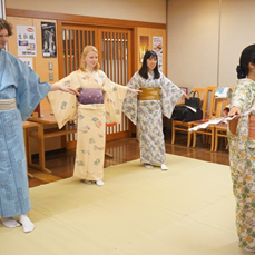 Experience Exquisite Japanese Culture in Tokyo: Kimono, Tea, Dance!
