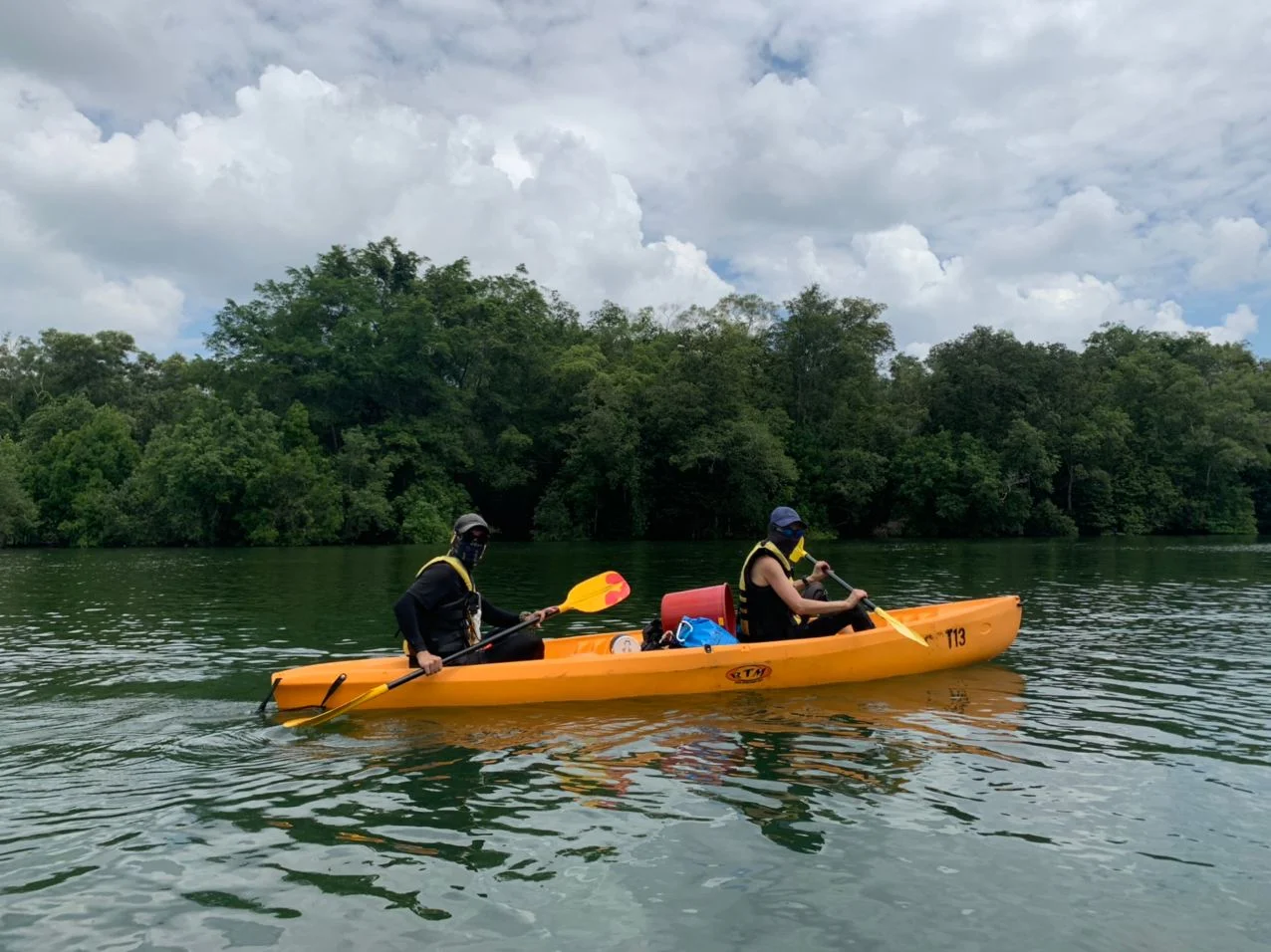 Sustainable Kayak Adventure in Singapore's Mangroves