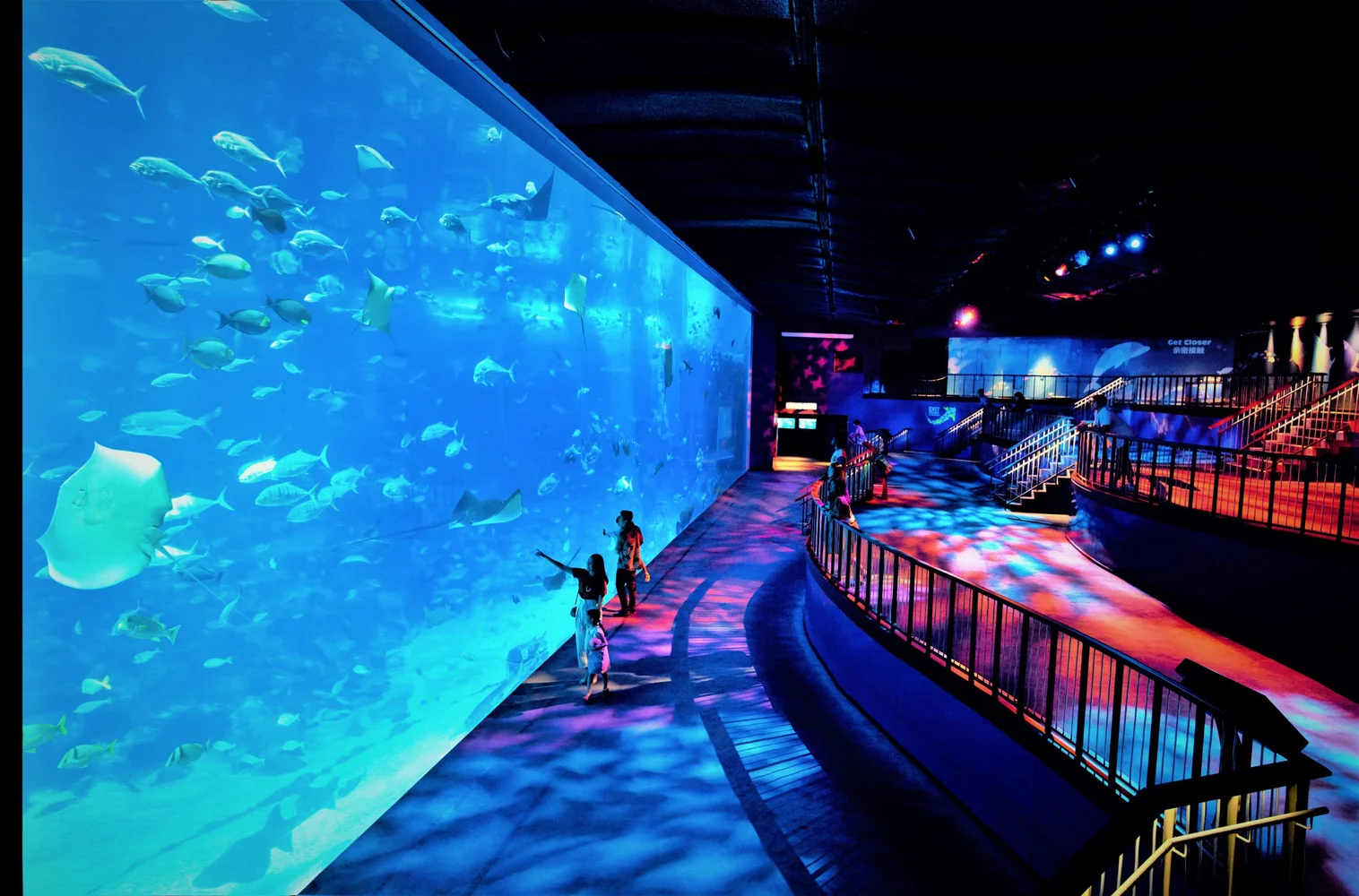シンガポール シーアクアリウム Eチケット＜セントーサ島にある世界最大級の水族館＞(即日発券)