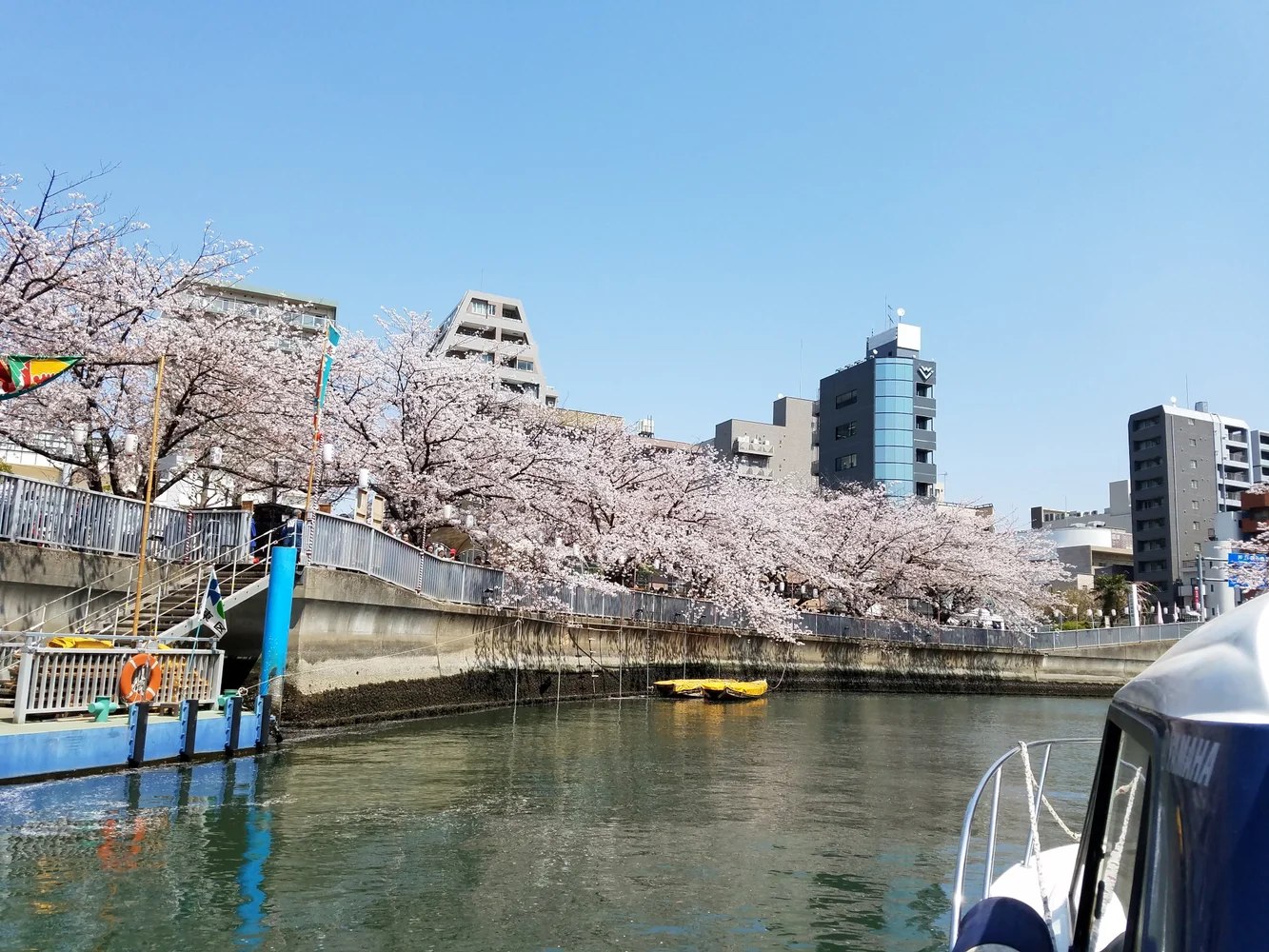 東京 目黒川 貸切お花見クルージング 予約＜3月20日から4月14日までの期間限定＞