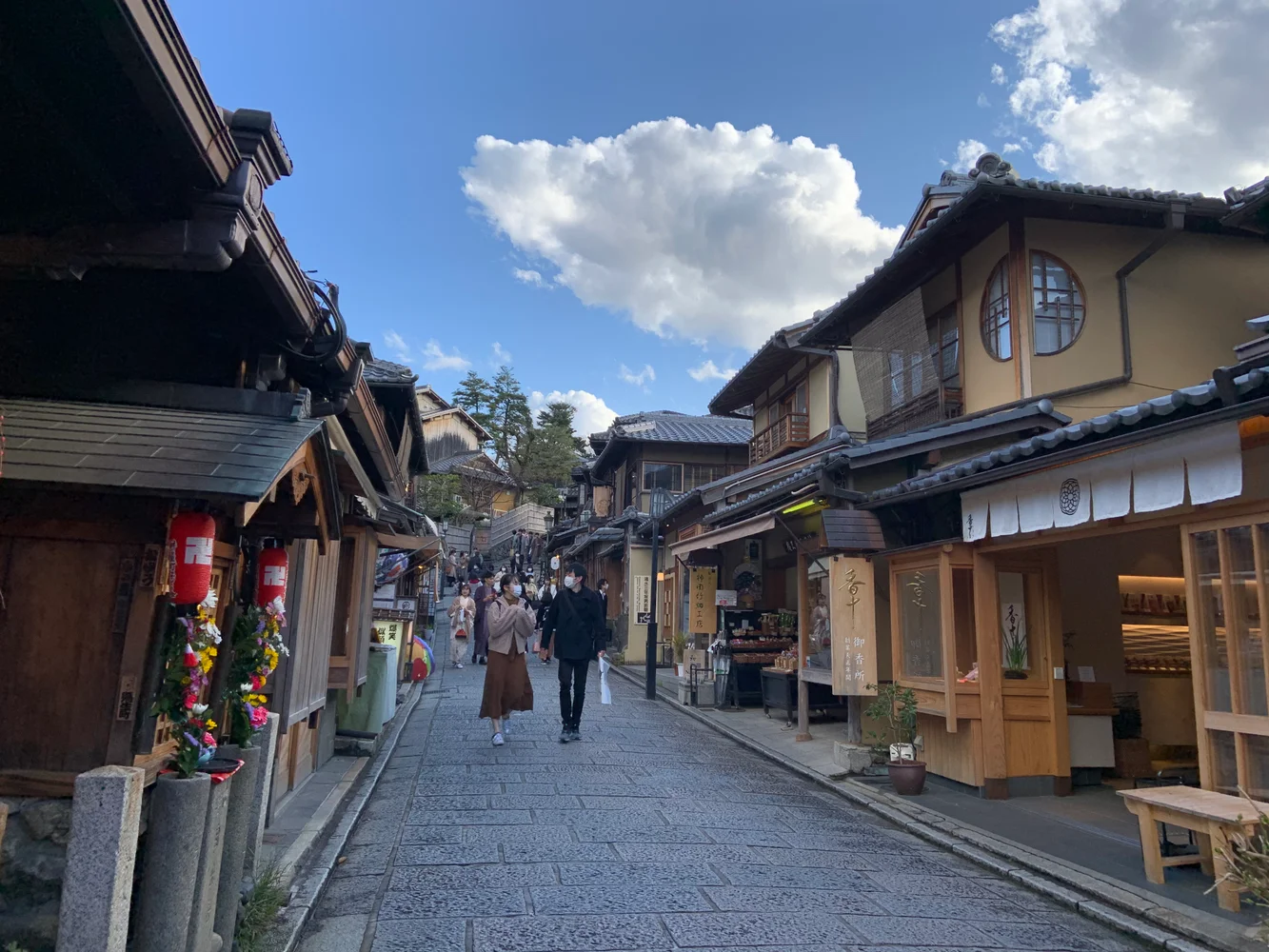 Exploring the Heart of Kyoto (Half Day)