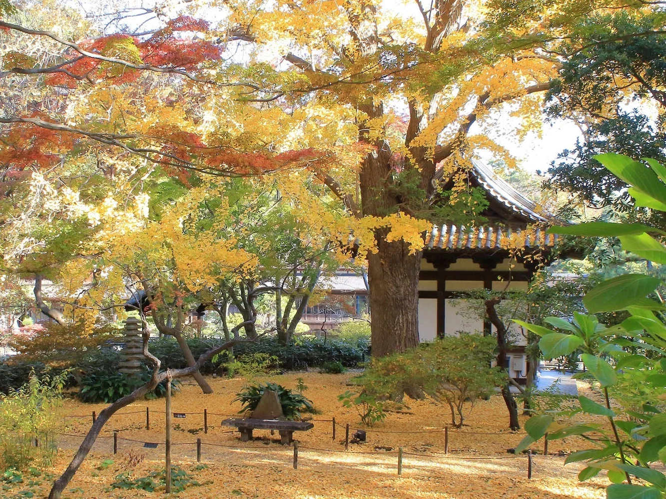 神奈川 横浜 三溪園 入園Eチケット 予約