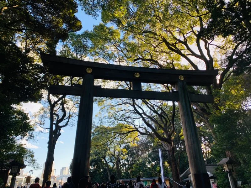 Panoramic Tokyo by Hybrid Bus: Tokyo Tower, Meiji Shrine & Asakusa Full-Day Guided Tour