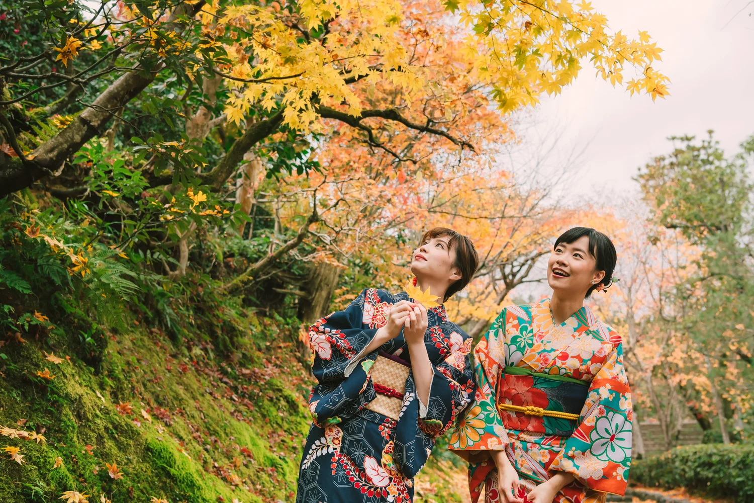 Book a Kimono Rental Hana Plan in Kyoto