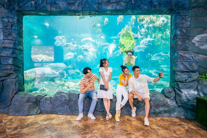 ベトナム ハノイ ヴィンケ&ヴィンパール水族館 入場Eチケット予約＜水族館のみ／ヴィンケ＋水族館＞