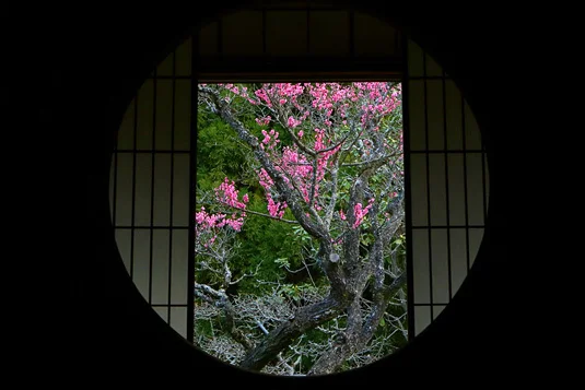 Visit Kyoto's Amazing Zen Gardens in a Private Half Day Tour