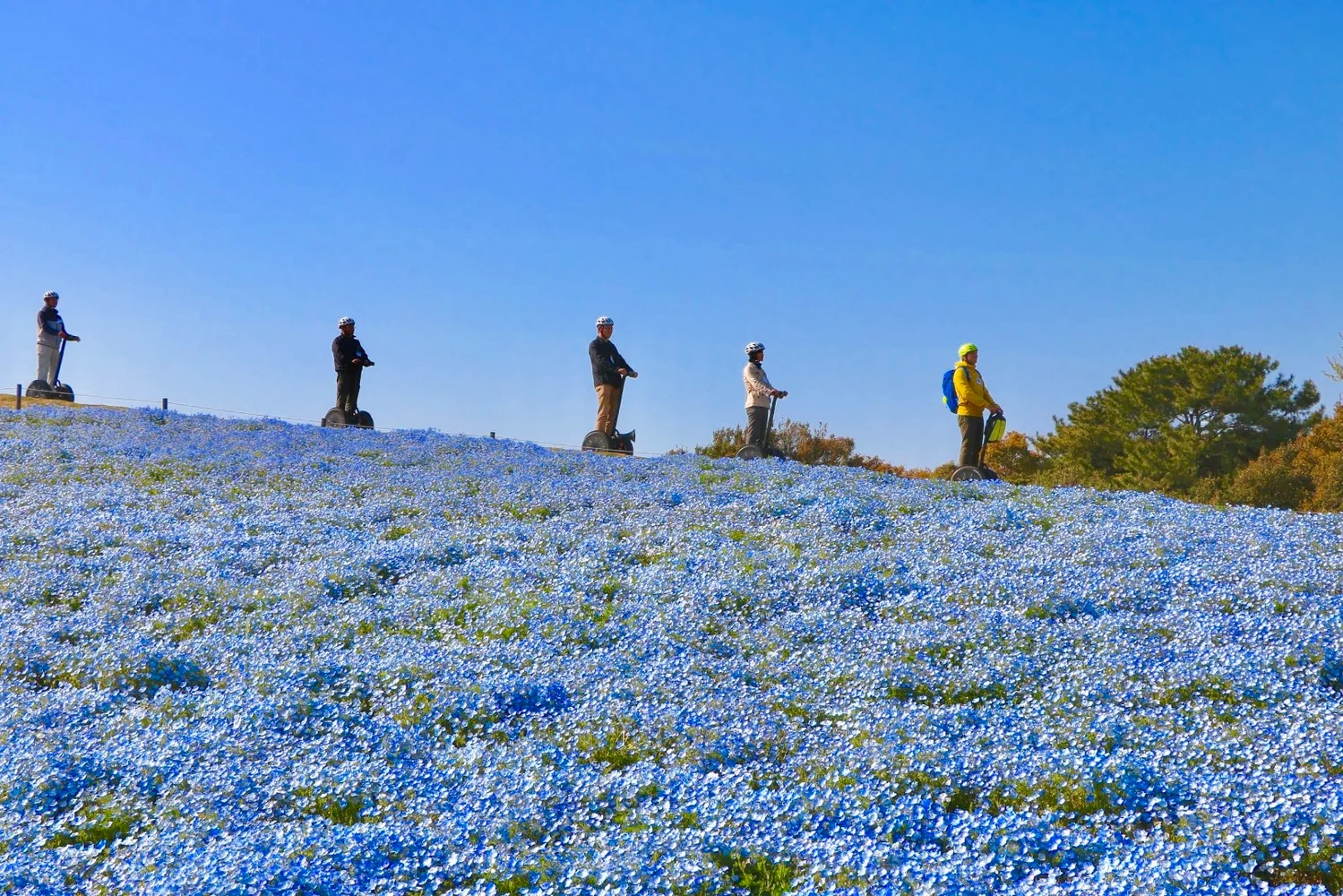 Segway Tour of Uminonakamichi Seaside Park in Fukuoka