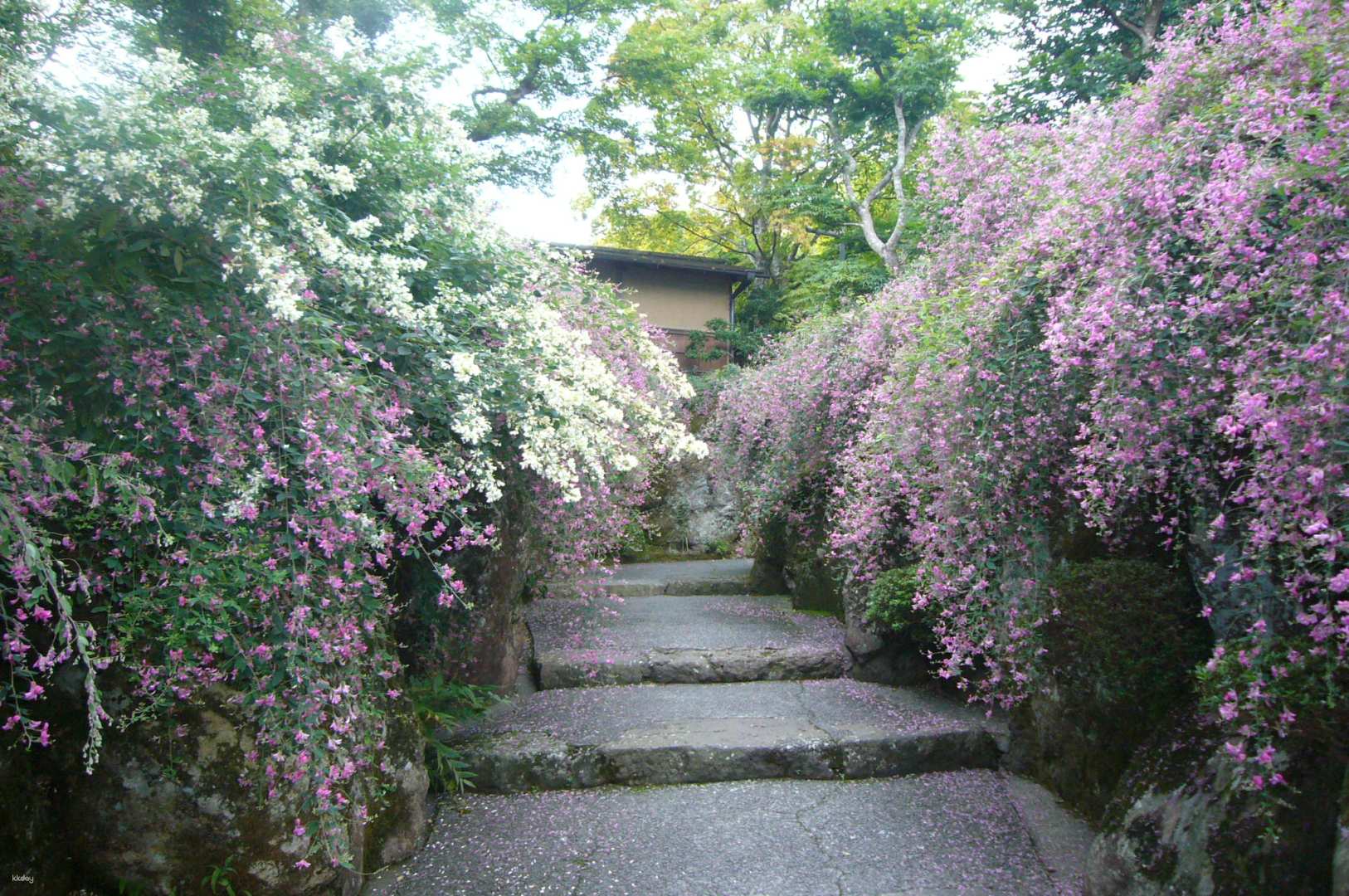 神奈川 箱根美術館入場 Eチケット（引換券）予約