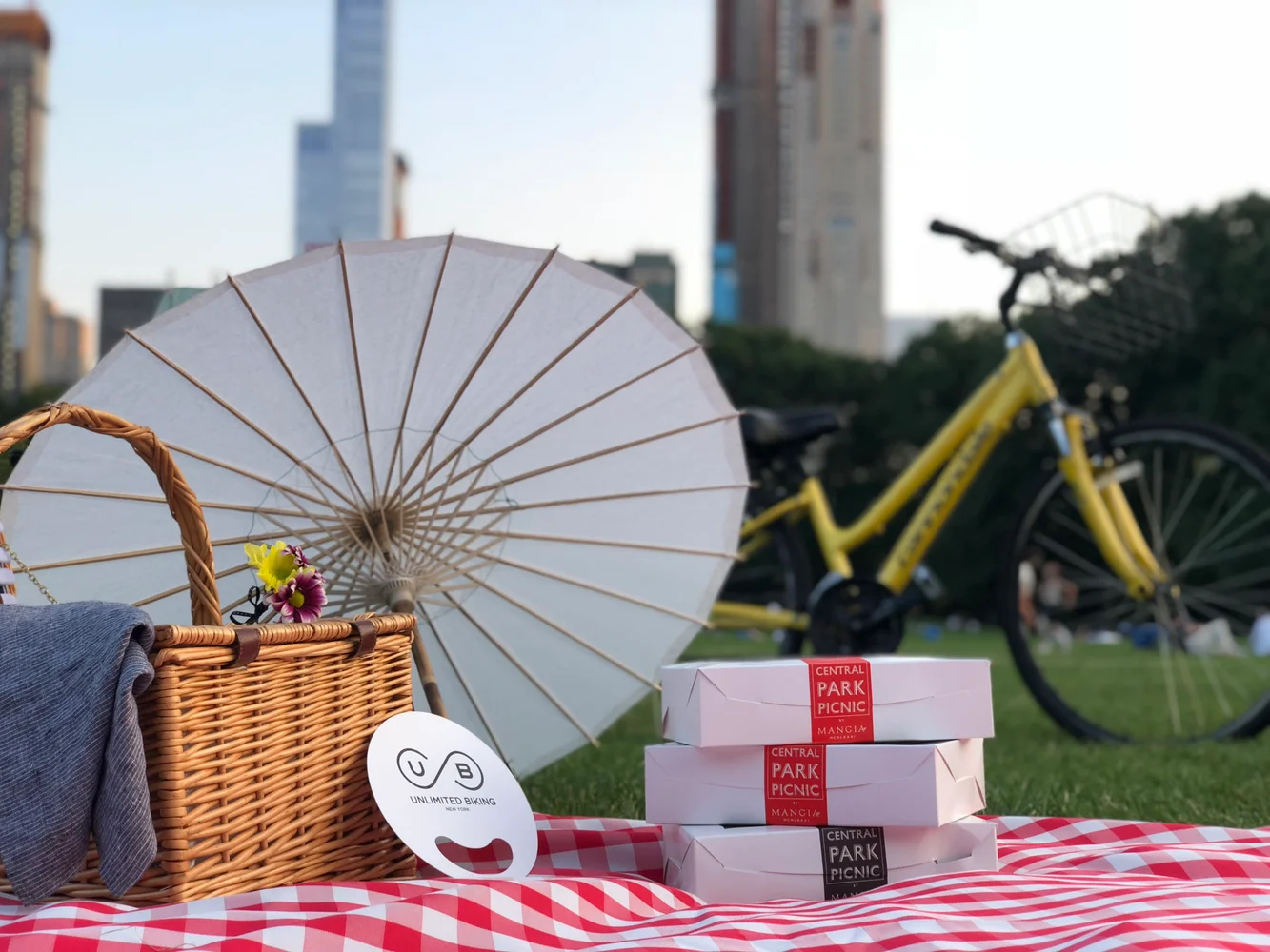 Full-Day Bike Rental and Picnic at Central Park, New York