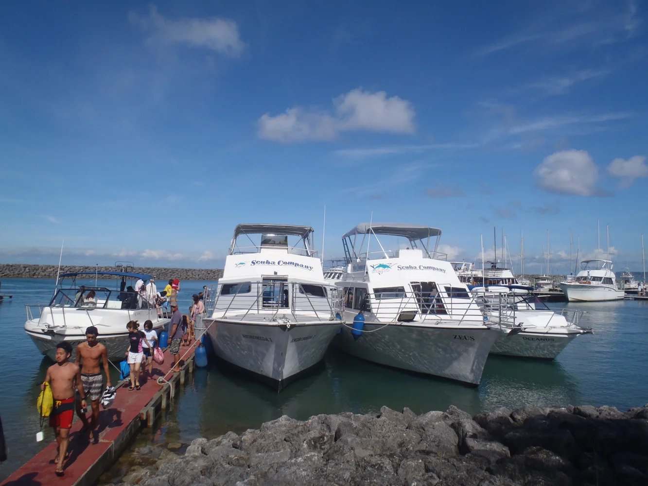 イルカ専用ボート（真ん中）2艇とパラセールボート2艇（両脇）