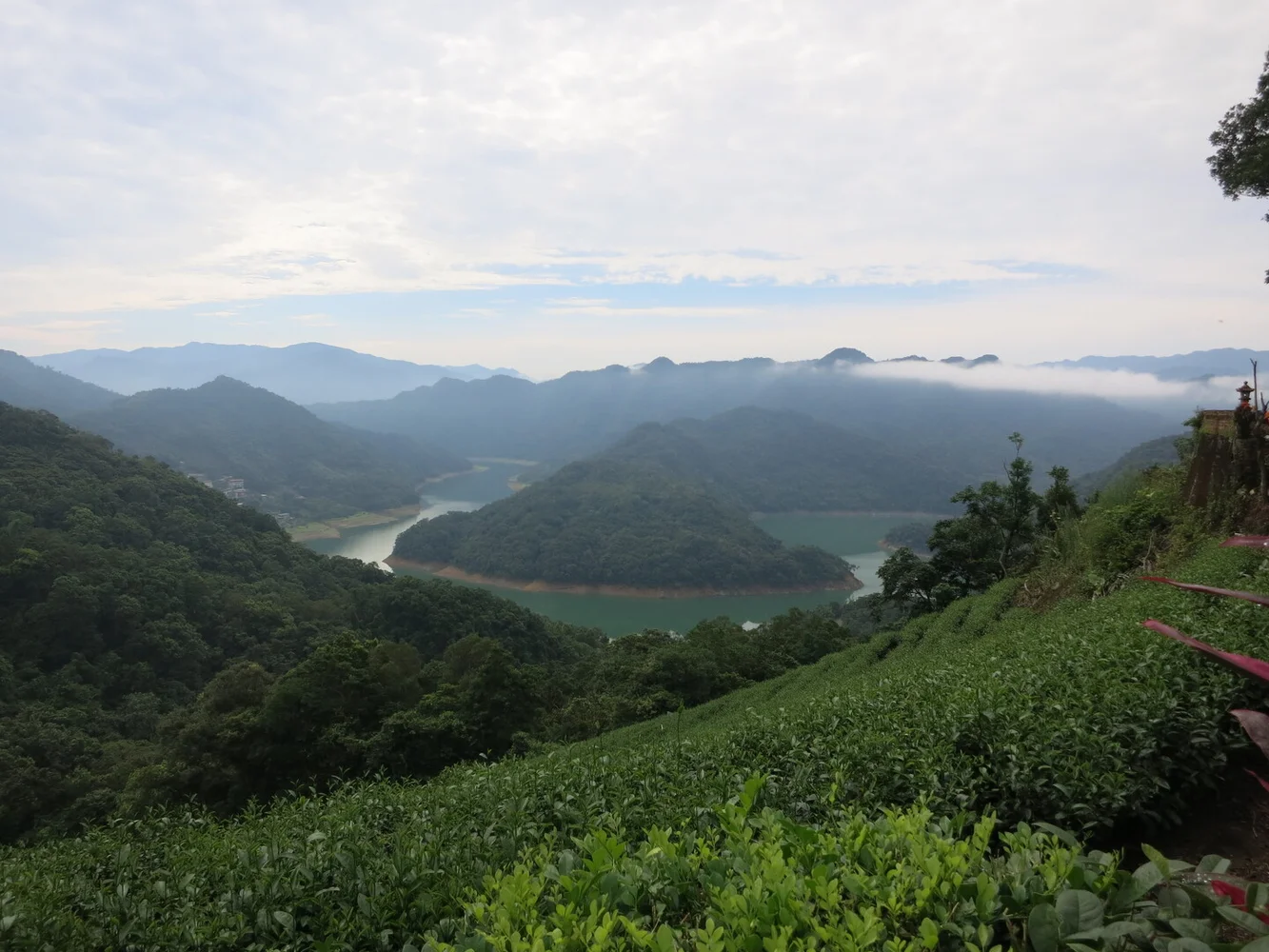 Pinglin Tea Culture & Elephant Mountain Day Tour from Taipei 