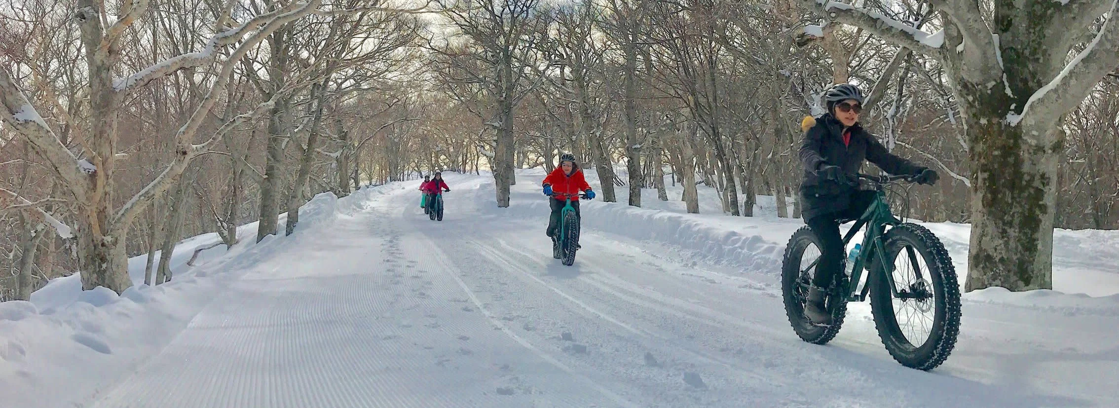 Snow Cycling in Mount Nasu