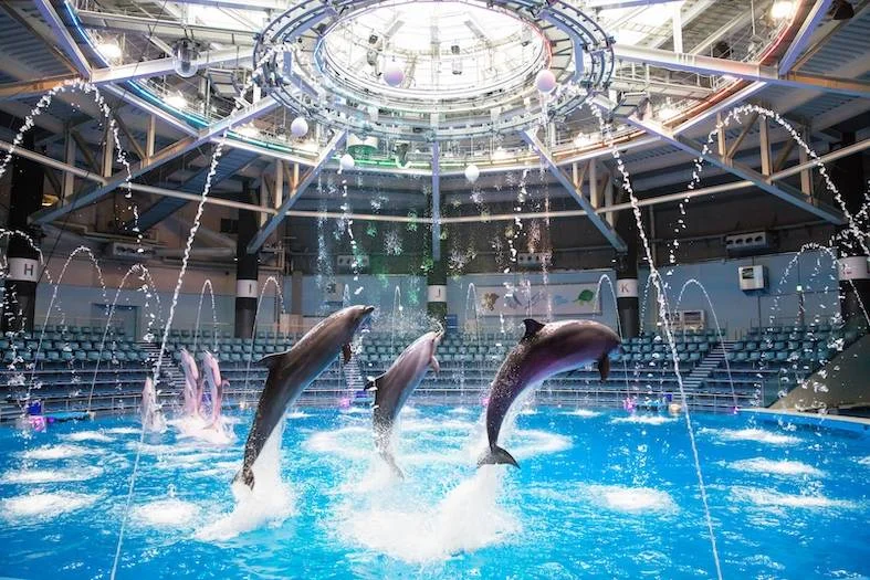 Maxell Aqua Park Shinagawa Aquarium E-Tickets