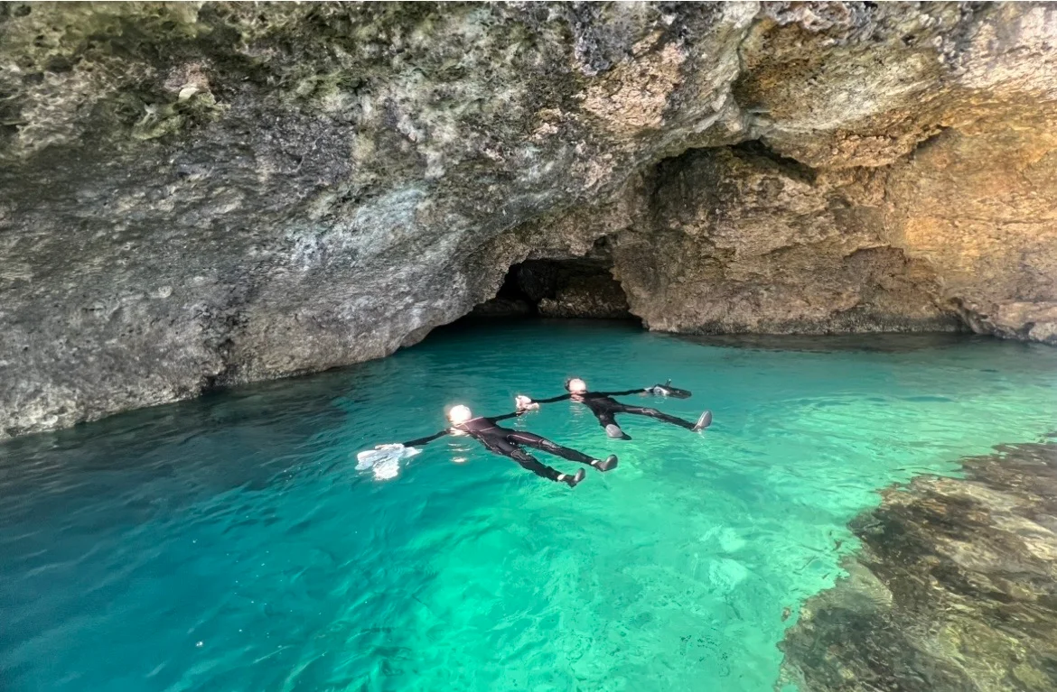 沖縄 Tomorl 石垣島 青の洞窟＆ウミガメシュノーケリング 予約 ＜写真データ＋送迎付き＞