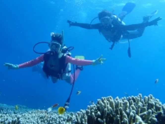 Ishigaki Diving — 1-Day Manta Ray Experience Passport Course