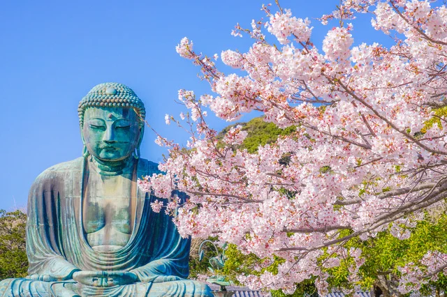 Book a Kamakura Big Buddha Walking Tour in Kanagawa!