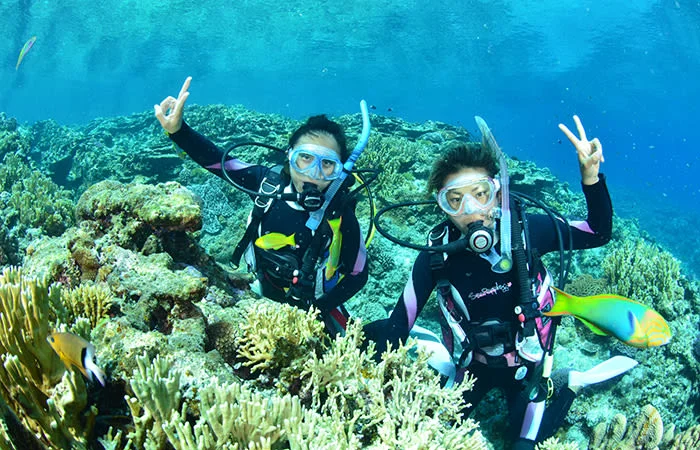 Okinawa Diving — Full-Day Tour From Naha to the Keramas