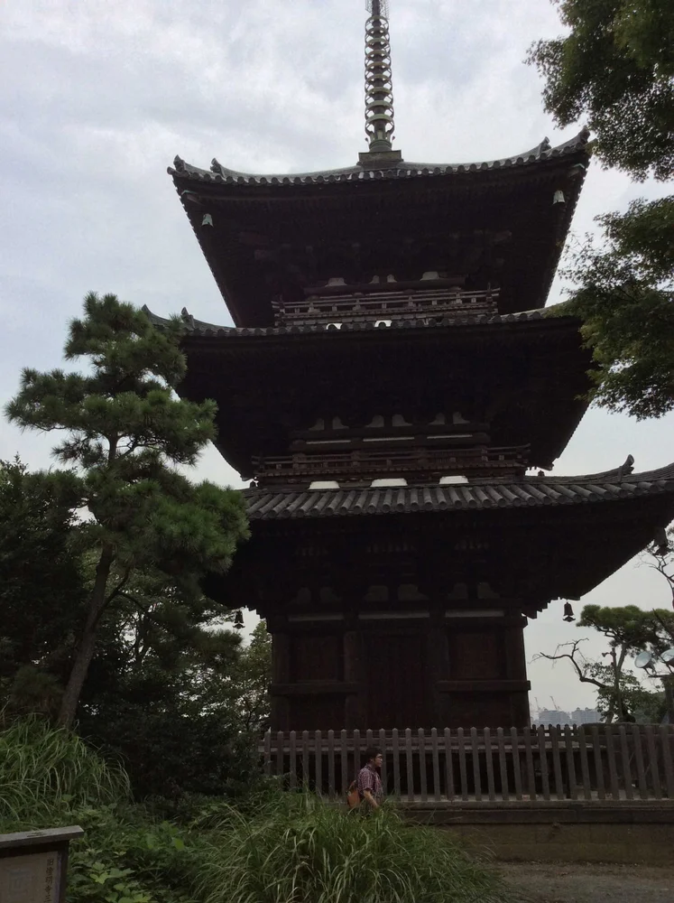 Yokohama, Chinatown and Japanese Garden Walking Tour
