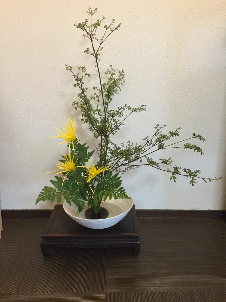 Enjoy Ikebana (Japanese Flower Arrangement) in Kyoto!