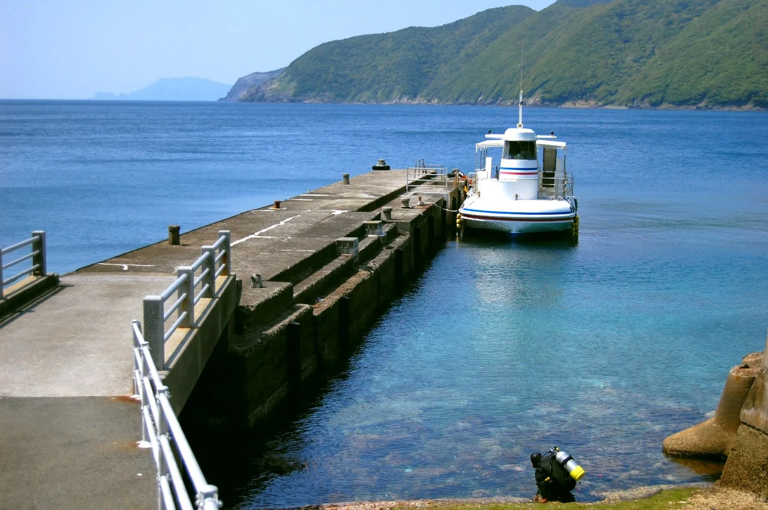Sightseeing Tour on a Semi-Submersible Boat in Ainan, Ehime