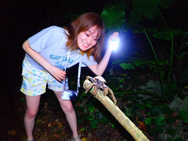 Stargazing & Nighttime Jungle Tour at Miyakojima, Okinawa