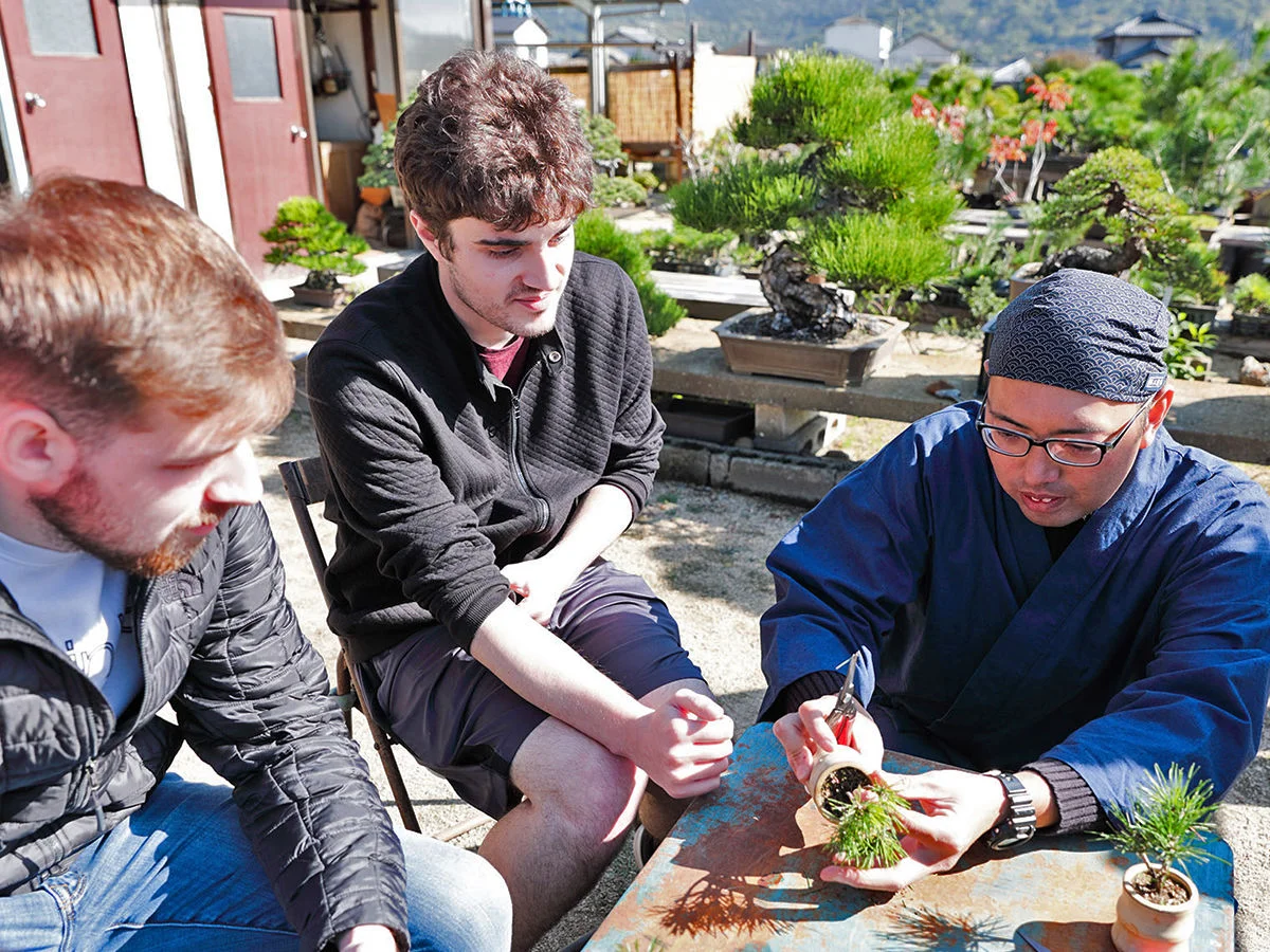 One-of-a-Kind Bonsai Farm Tour and Workshop in Takamatsu