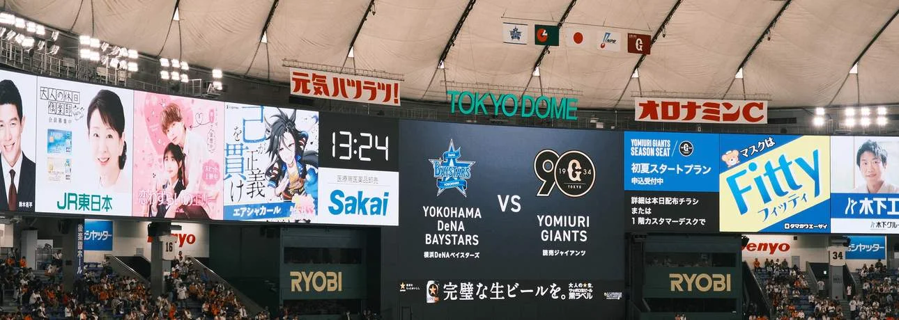 Tokyo Baseball Game: Watch Yomiuri Giants with English-Speaking Expert Guide