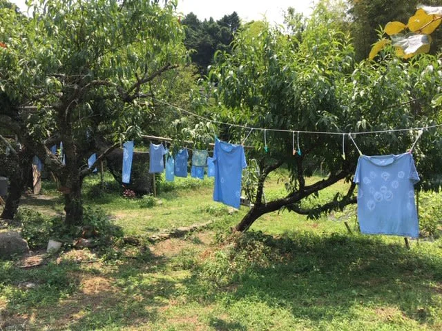Dye Cloth With Indigo & Other Plant Pigments at Unzen, Nagasaki