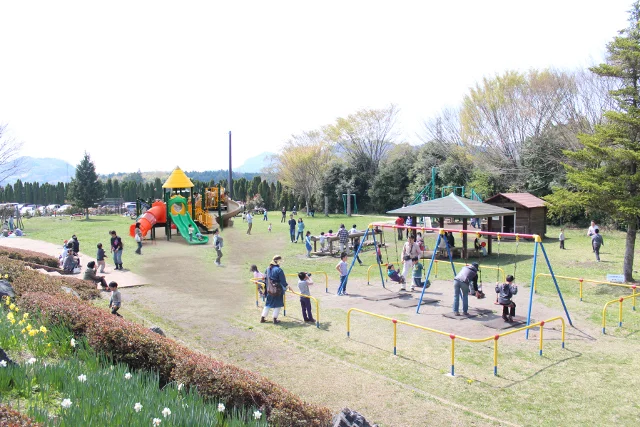 栃木 道の駅うつのみや ろまんちっく村 アグリスパ 入場Eチケット 予約