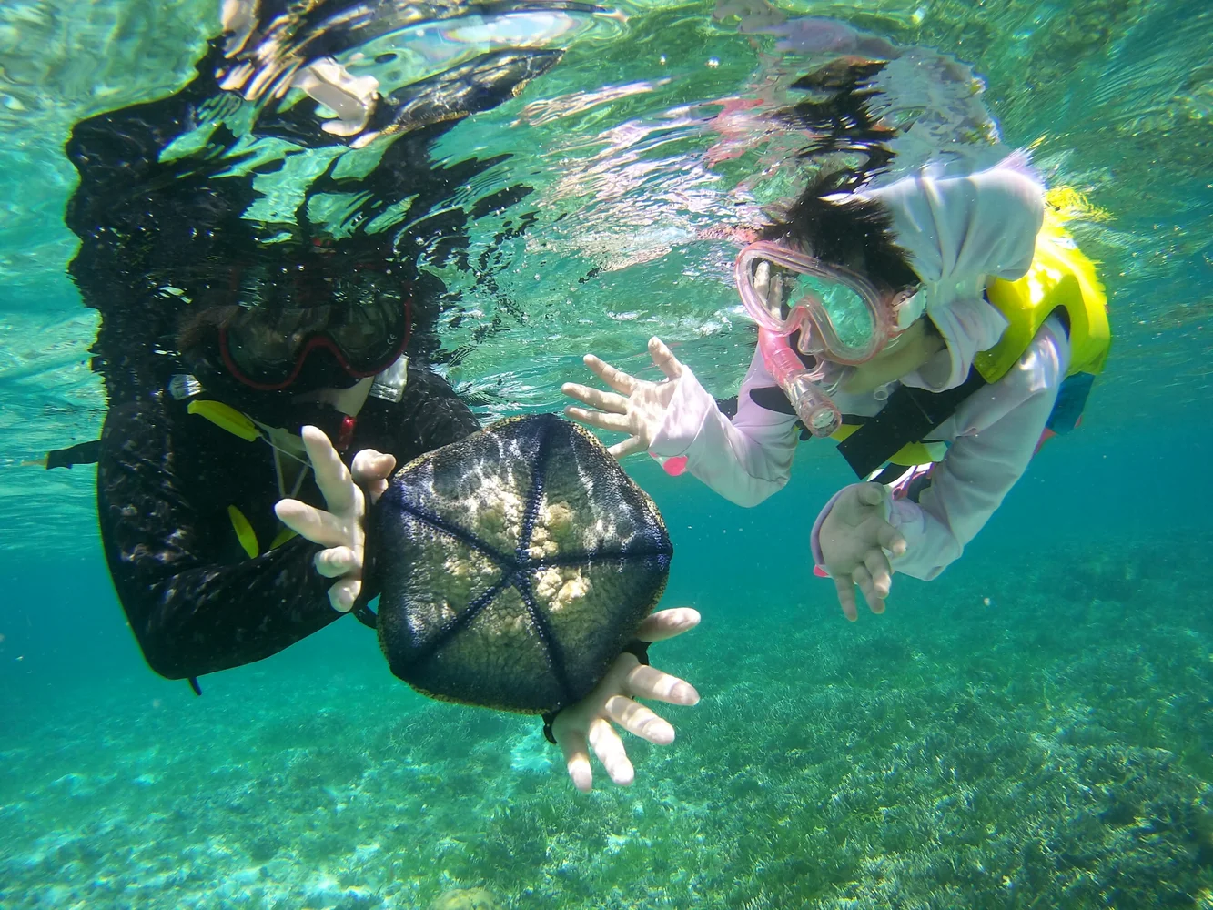 Snorkeling & Sea Kayaking Okinawa — Private Tour of Bise