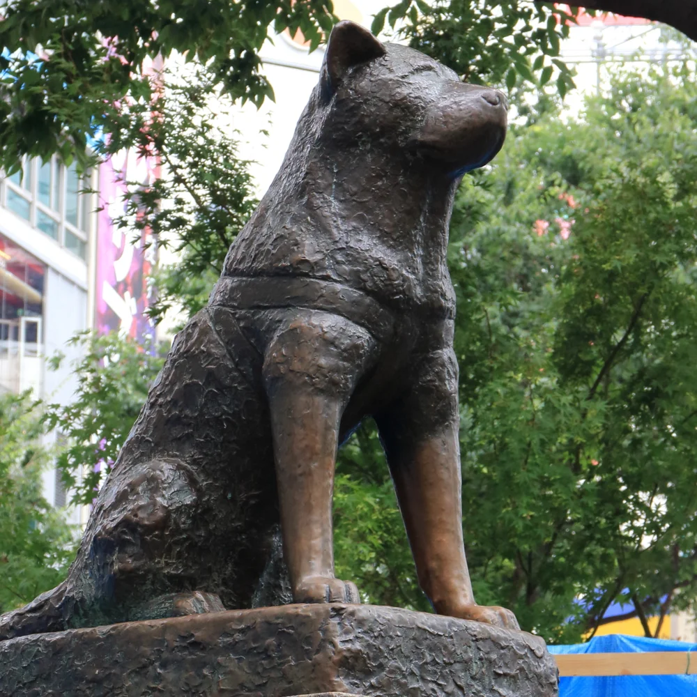 Staue of a faithful dog " HACHIKO", a symbol of Shibuya.