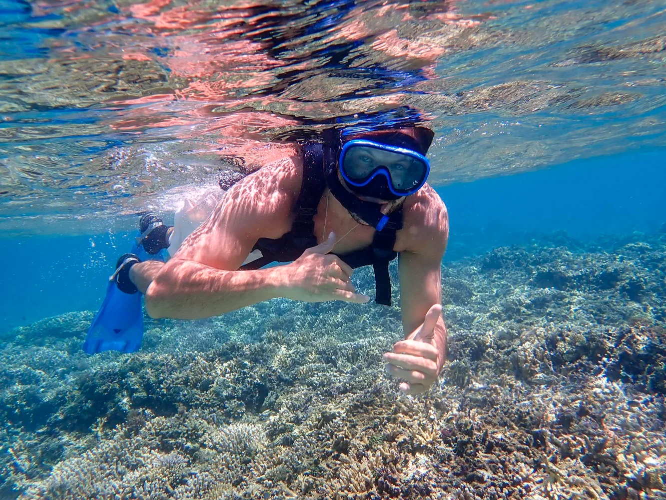 【西表島／半日】サンゴの欠片でできた「奇跡の島」でウミガメと泳ごう！バラス島ボートシュノーケリング【写真データ無料】
