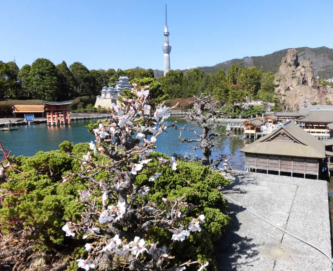 栃木 日光 東武ワールドスクウェア 入場Eチケット 予約