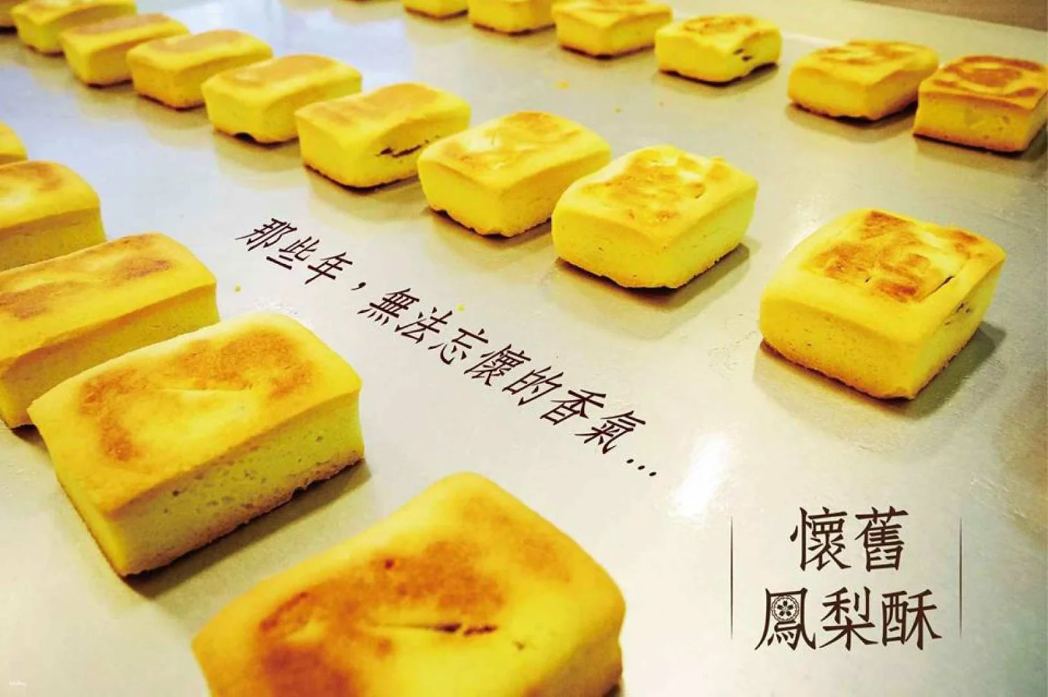 台湾 台北 士林 郭元益糕餅博物館 パイナップルケーキ作り体験 予約