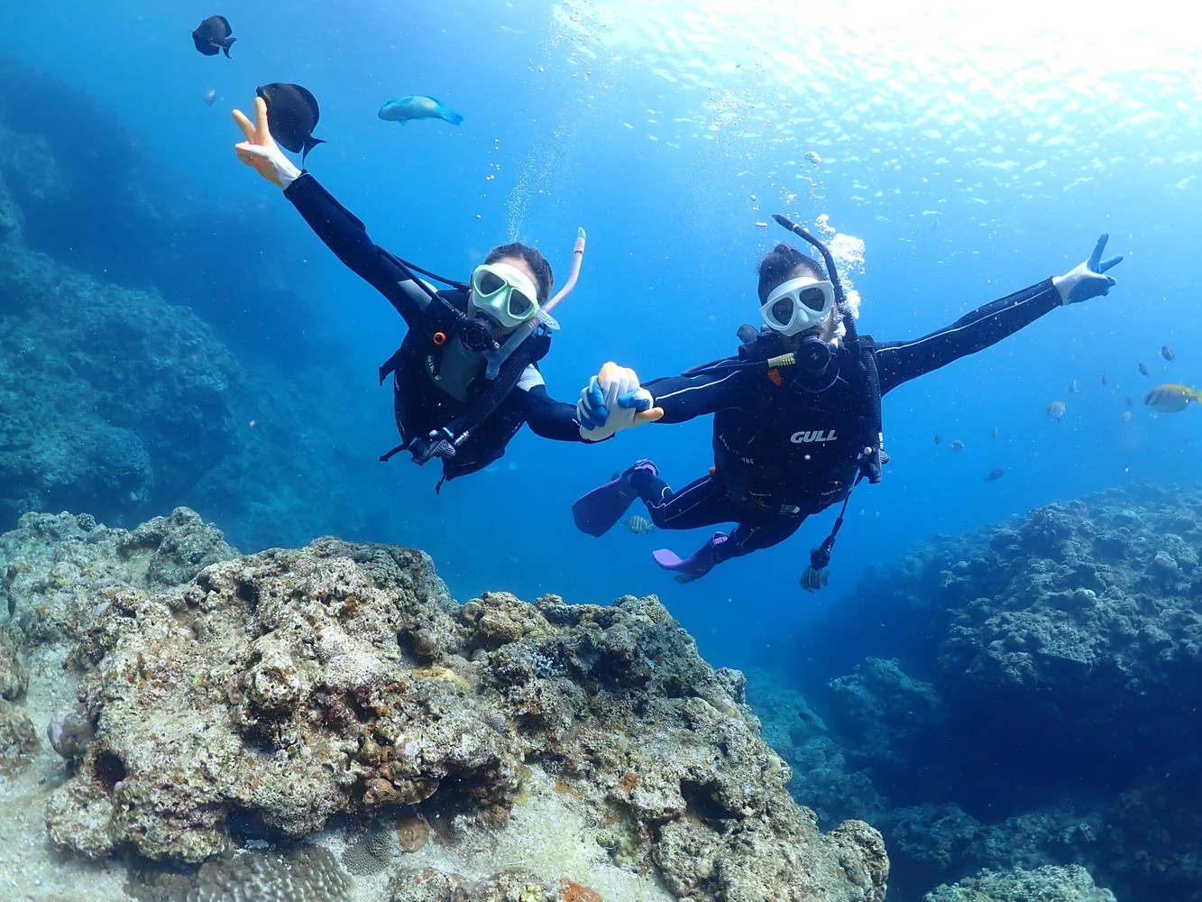 Okinawa Blue Cave Diving 36% OFF! vs. Direct Booking & Onsite Payment