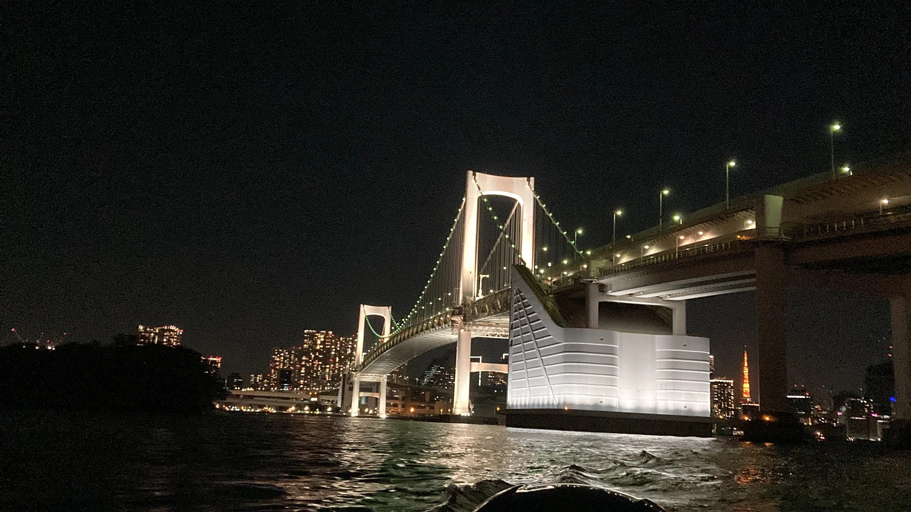 Tokyo Odaiba Beer Garden on Private Cruise