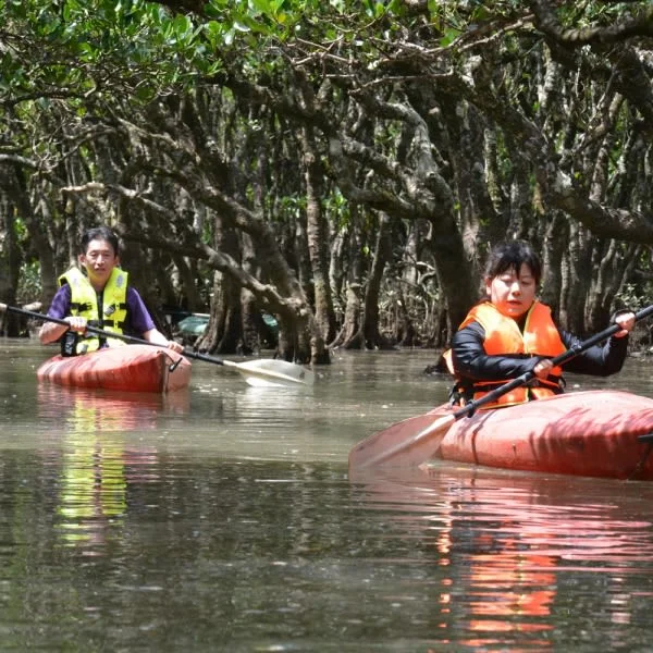 奄美大島 マングローブ・ジャングルを巡るのんびりカヌーツアー＜ファミリーにおすすめ＞