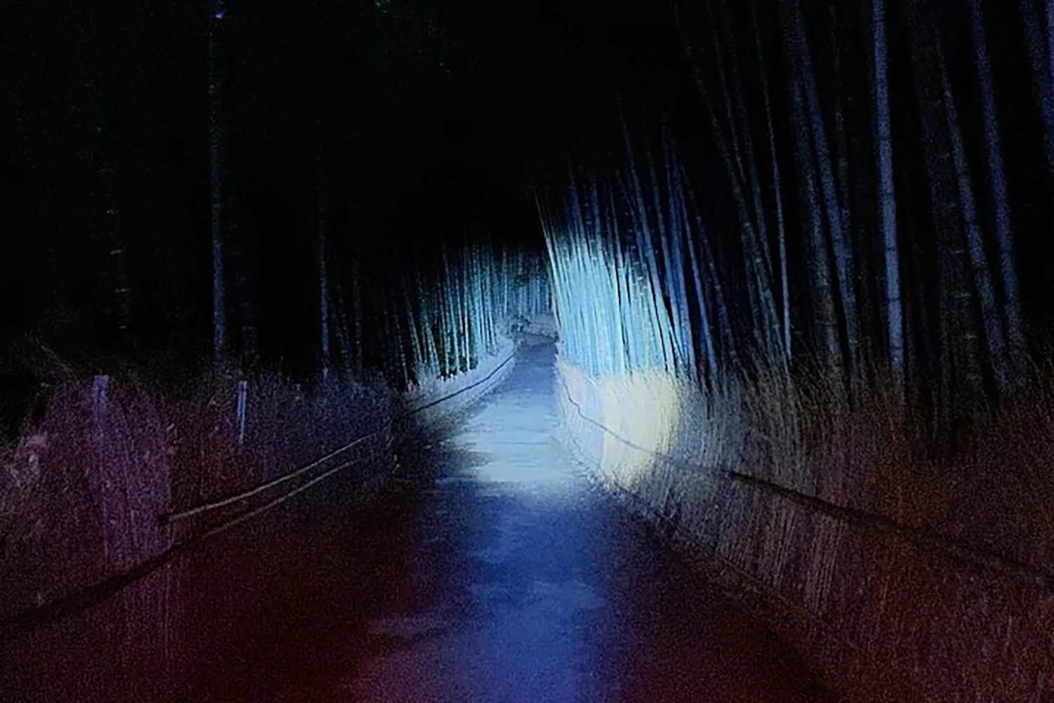 京都 夜の嵐山 竹林で京都ゴーストツアー 予約