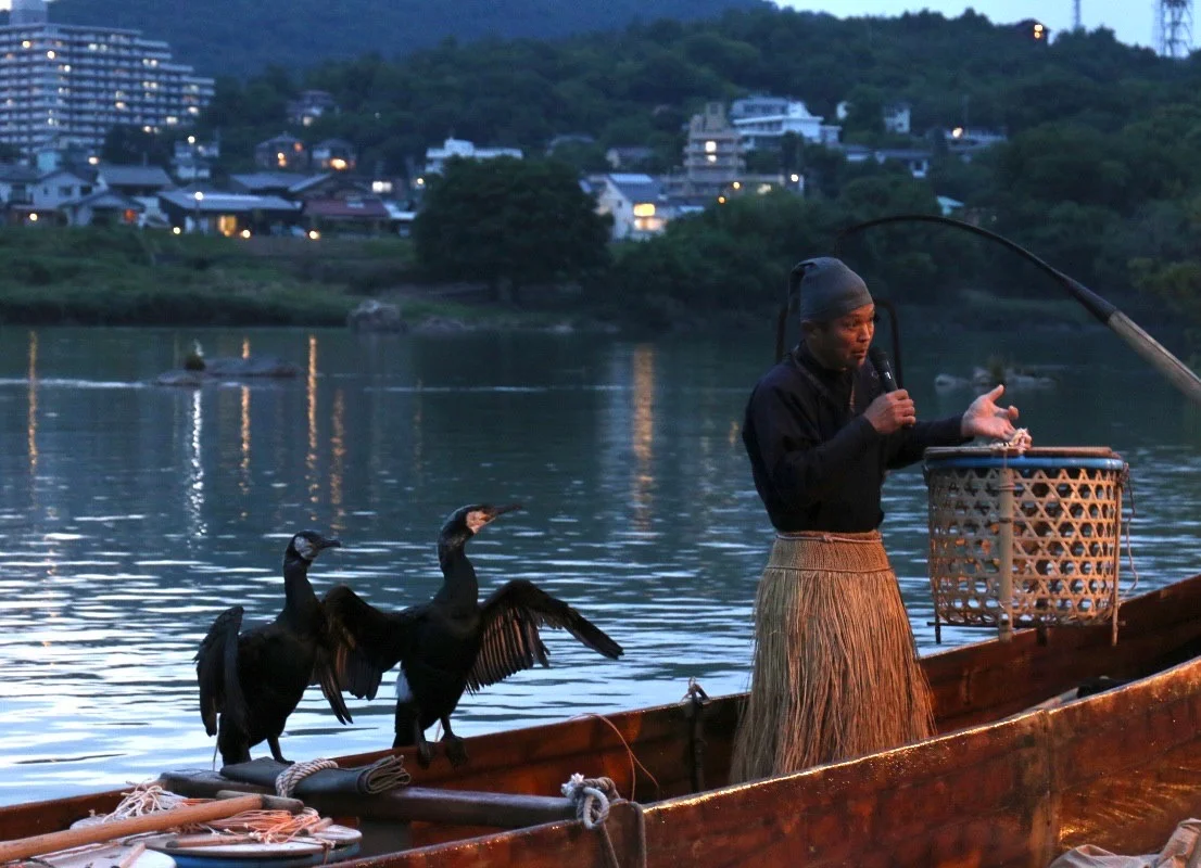 Watch Ukai Fishing (Cormorant Fishing) on the Kiso River in Inuyama, Aichi