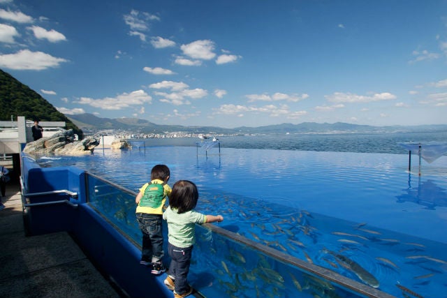 最大200円割引】大分マリーンパレス水族館 「うみたまご」Eチケット 事前購入【楽天トラベル 観光体験】