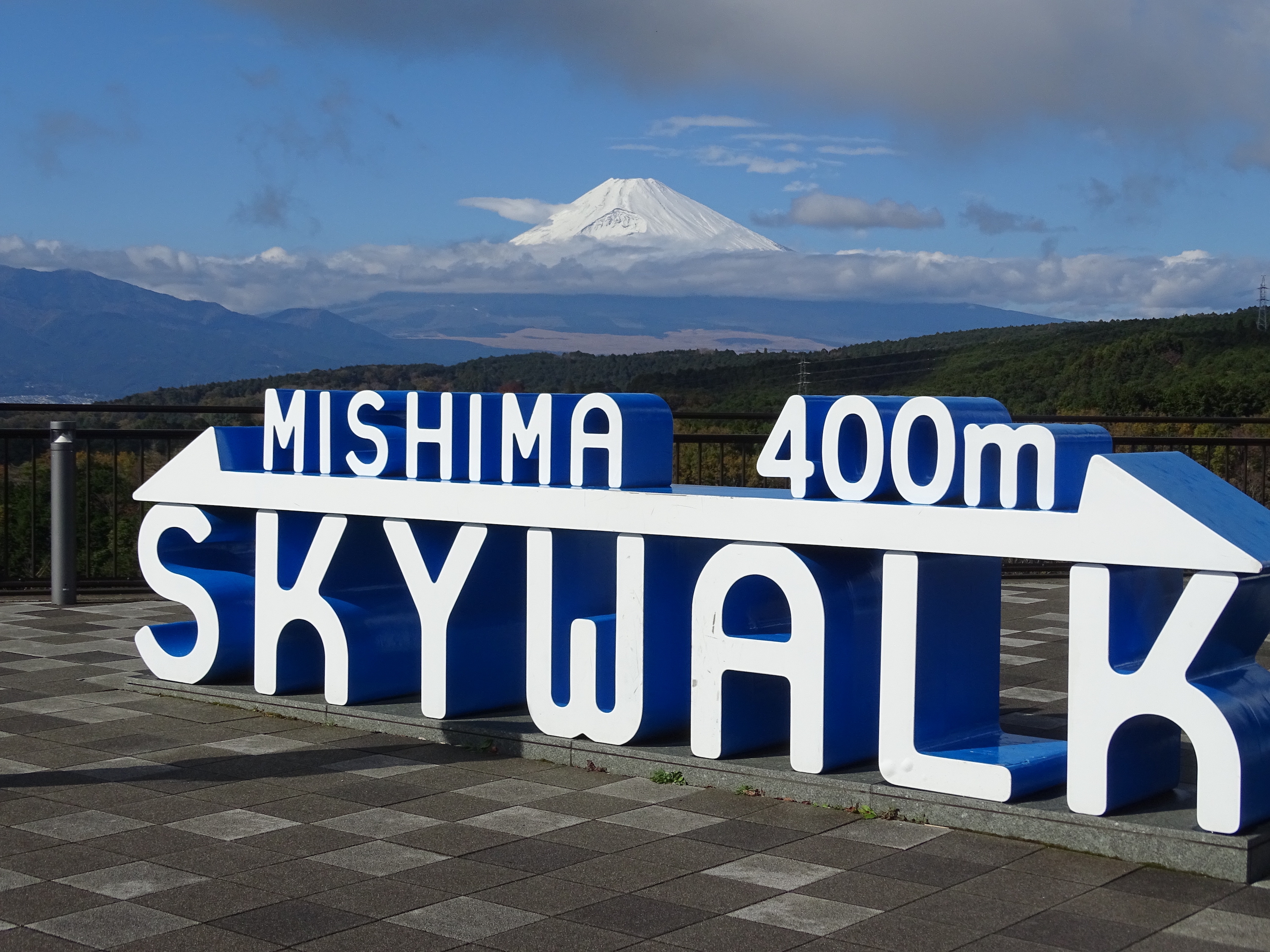 Kawazu Zakura and Mishima Skywalk Fuji View 1-Day Tour from Tokyo