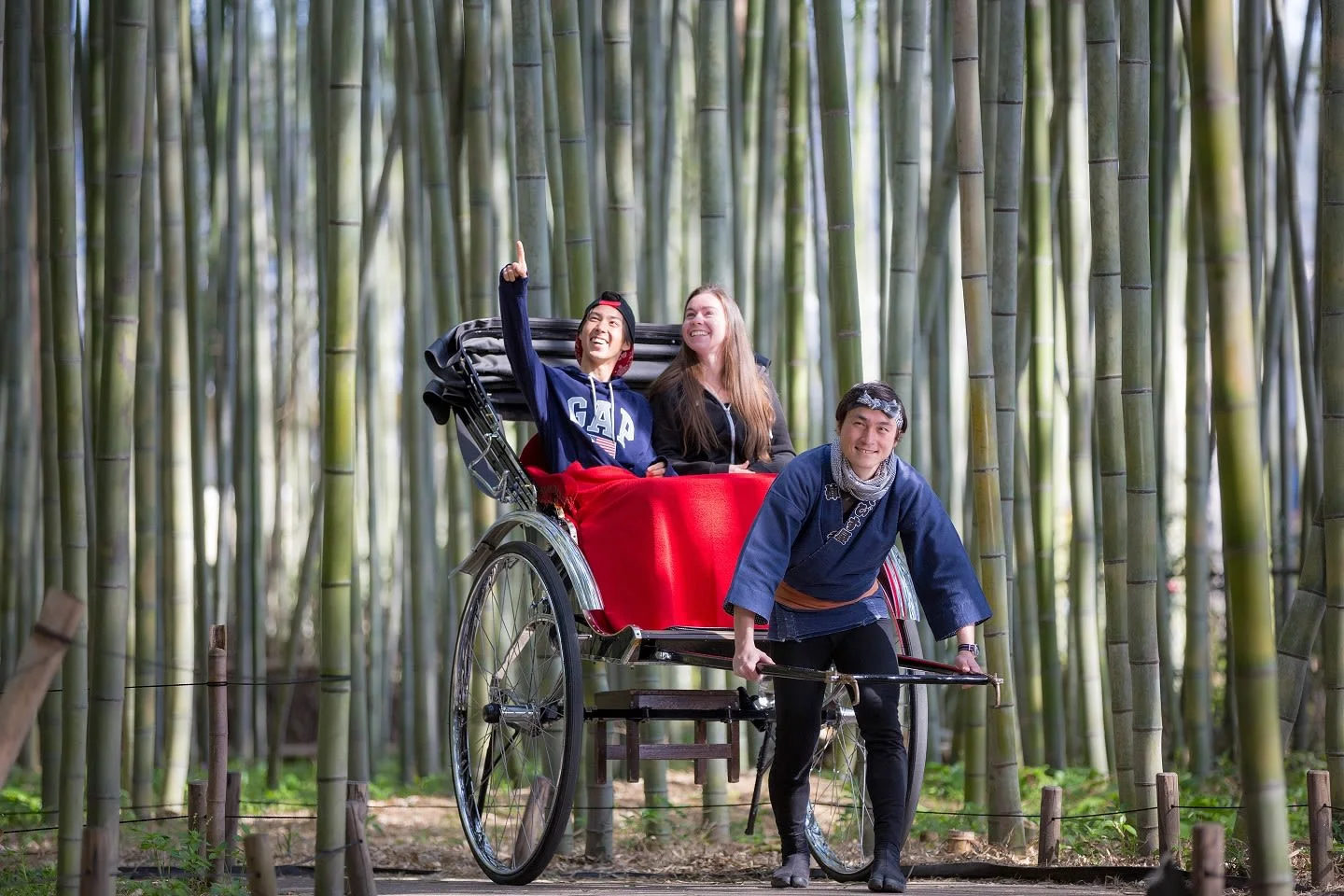京都嵐山 人力車のえびす屋 人気の古都を巡る人力車ツアー 予約