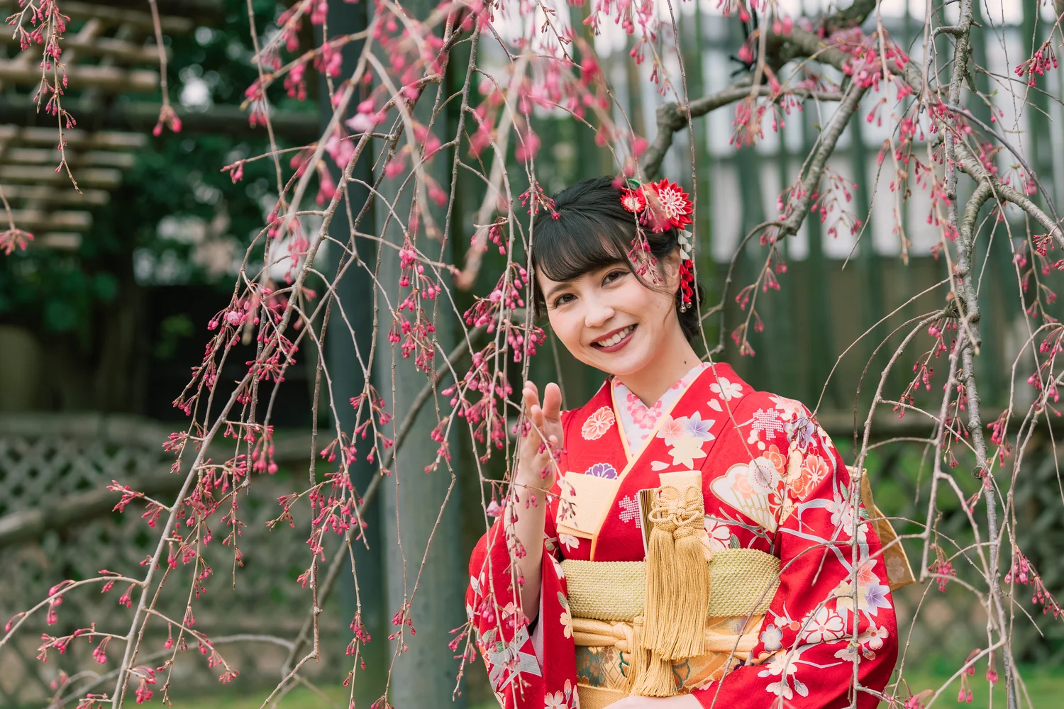 Premium Kimono Rental in Kyoto: Furisode, Montsuki Hakama, and More